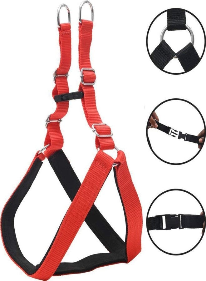 Pups&Pets سرج ومقود للكلاب قابل للتعديل من النايلون المبطن من Pups&Pets، مقاس 0.75 بوصة، مناسب للحيوانات الأليفة الصغيرة (مقاس الصدر: 19-24، أحمر وأسود). - Image 2